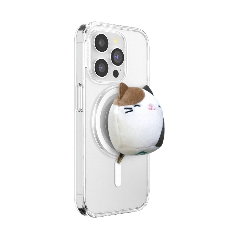 5436