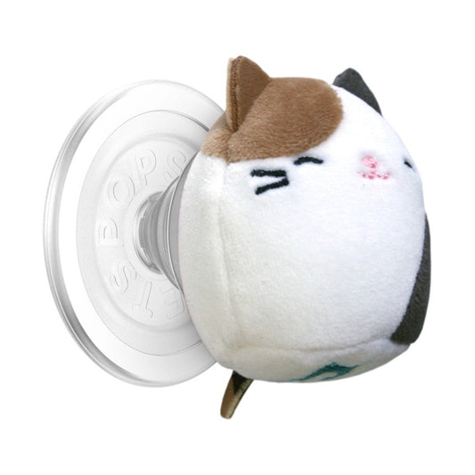 0.94968600 176034442578317094