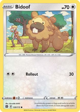 Bidoof 120/172  SWSH09 Brilliant Stars - Common